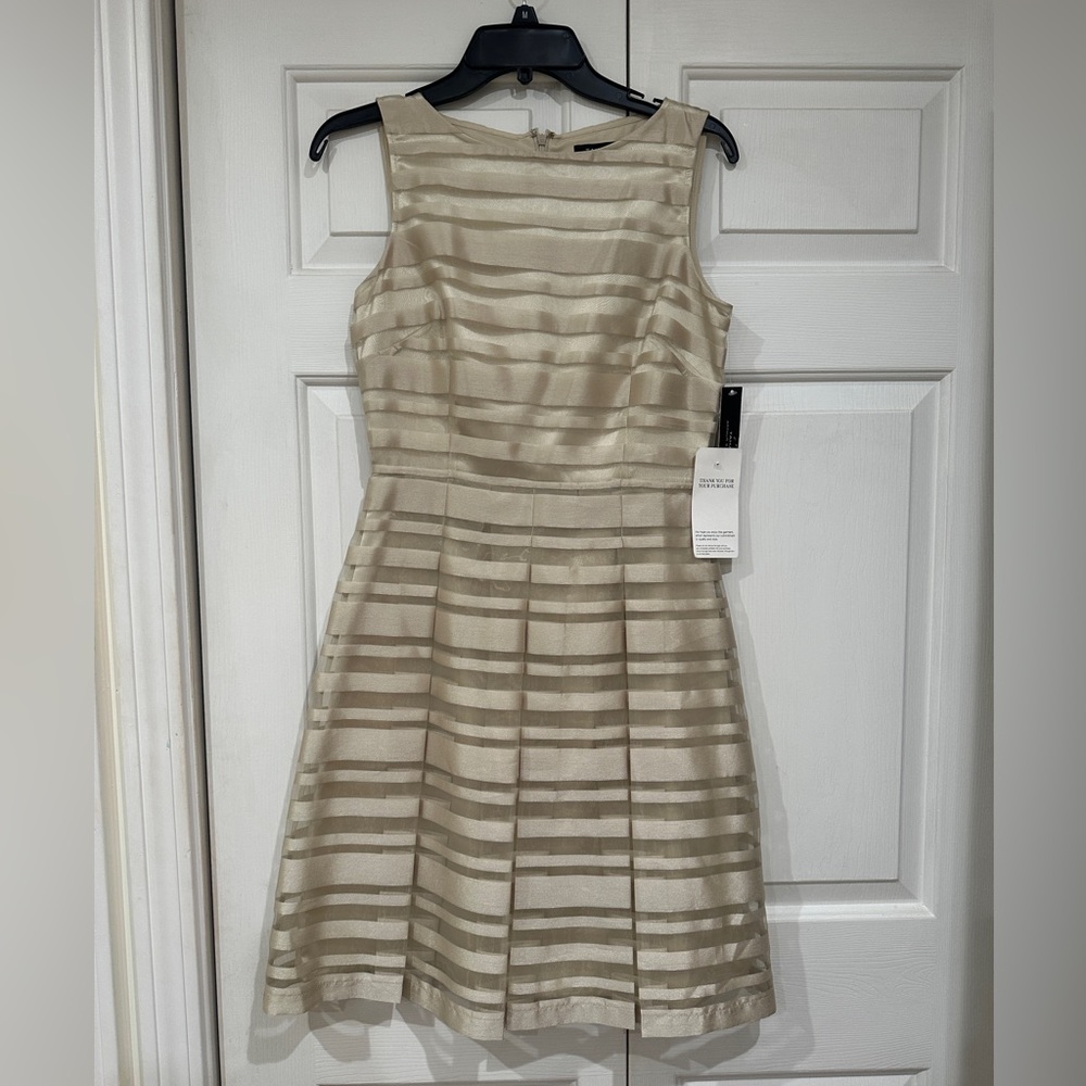 Champagne Striped metallic Dress